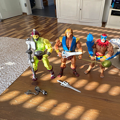 Masters the universe - the,